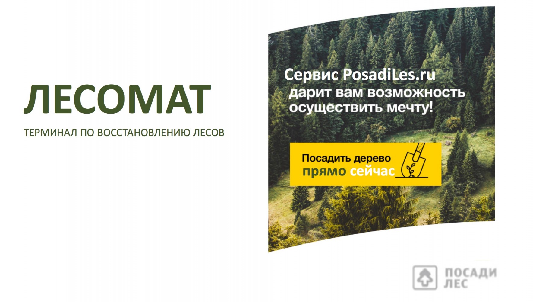 ЛЕСОМАТ терминал по восстановлению лесов - Карточка участника